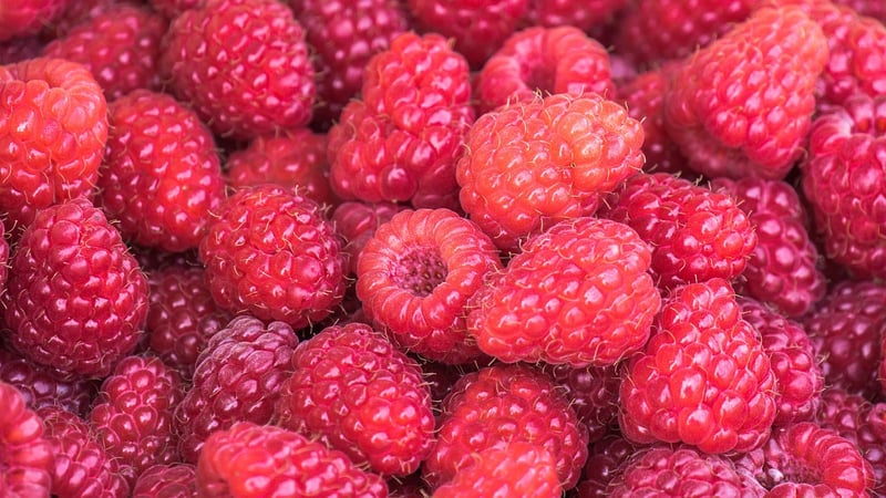 Acai Berries